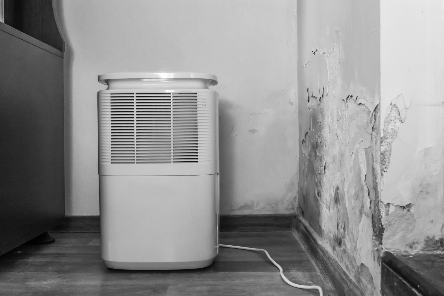 Should You Run A Dehumidifier In Your Basement?
